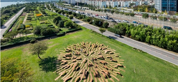 THE “ROOT BENCH” IN SEOUL