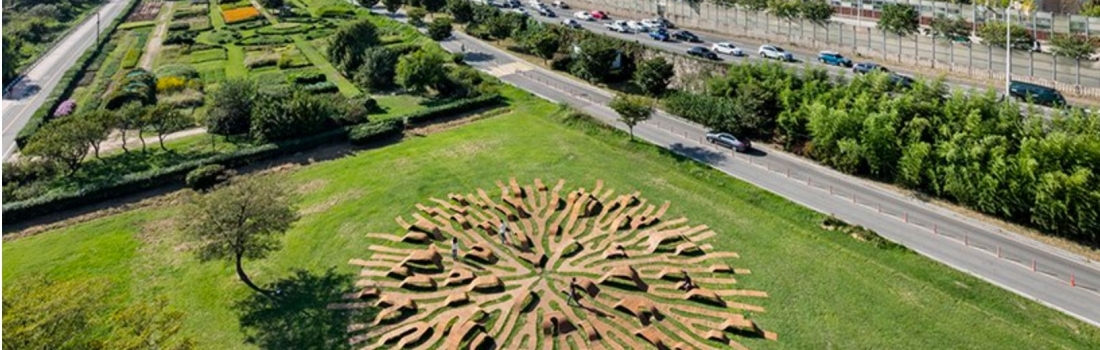 THE “ROOT BENCH” IN SEOUL